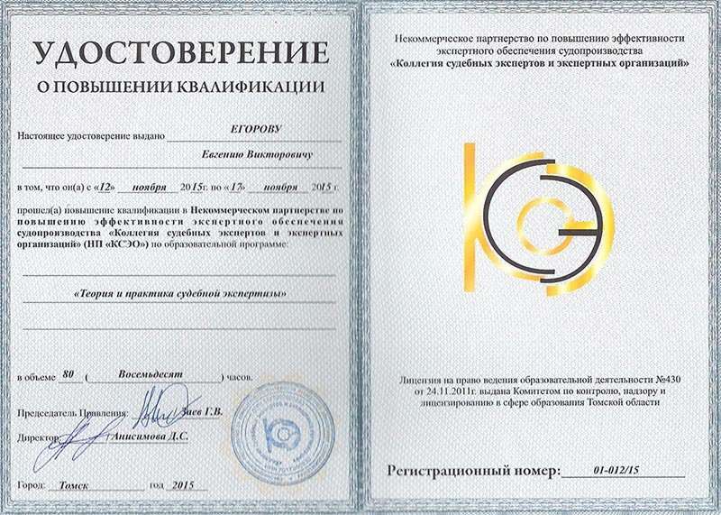 Группа контроля. Судебный эксперт 7 допусков. Группа контроля Кодоха и тосейху.